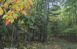 2640 E Lincoln Hills Road, Luther, MI 49656