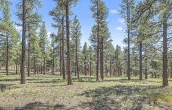 7264 E Long Bow Drive, Williams, AZ 86046