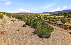 1242 S Kaishas Way, Eagar, AZ 85925