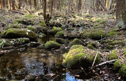 Marcy Rd lot: 1, Otis, MA 01253