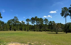 Towering Pines, Carriere, MS 39426
