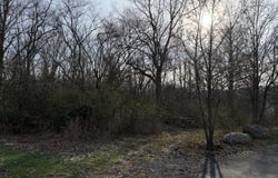 Pine St & Laurel Drive, Mayfield, PA 18433