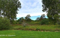 Tyrrell Road, Morrice, MI 48857