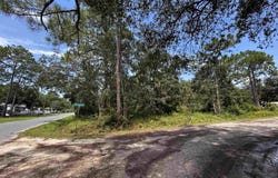 Dickson Bay Road, Panacea, FL 32346
