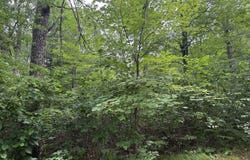 91XX E Hilltop Dr, Solon Springs, WI 54873
