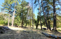 25331 Sherwood Road, Willits, CA 95490