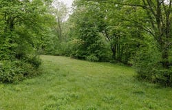 Catherine SE, Masury, OH 44438