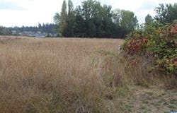 E Brownfield, Sequim, WA 98382