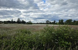 31625 SE HINMAN Ave, Estacada, OR 97023