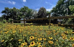19129 ALLENS LN, CULPEPER, VA 22701