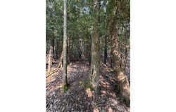 TBD5 Bayshore Road, L'Anse, MI 49946