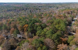 Jerry Drive, McCalla, AL 35111