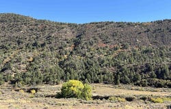 Road 41, Mancos, CO 81328