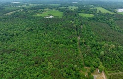 CARROLL BRASHIER ROAD, Downsville, LA 71234