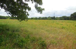 County Road 488, Ranger, TX 76470