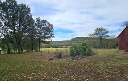 30349 County Road V-234, Drury, MO 65638