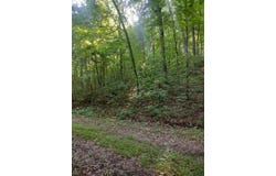 2 Boulder Drive, Dunlap, TN 37327