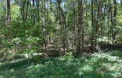 Jo-Beth St., WAYNESBORO, MS 39367