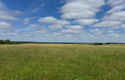 Plateau Drive, Marshfield, MO 65706