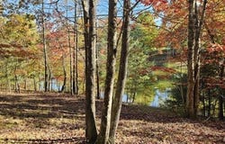 Wilderness Way lot: 515, Dunlap, TN 37327