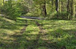 Wratten Road, Brookfield, NY 13355