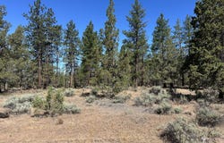 69265 Panoramic Drive, Sisters, OR 97759