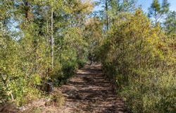 NW CR 141, Jennings, FL 32053