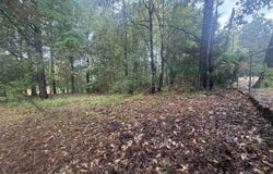 Mountain Home Rd, Paragould, AR 72450