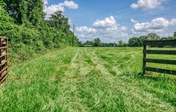 0000 Mock Lane, MONTGOMERY, TX 77484