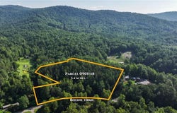 Boone Trail, Purlear, NC 28665
