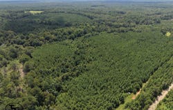 1600 Deer Run Rd, Dixons Mills, AL 36736