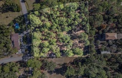 Piney Street, Panacea, FL 32346