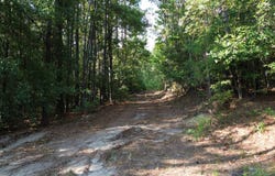 Co Rd 350, Billingsley, AL 36006