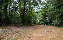 CR 2232, Daingerfield, TX 75638