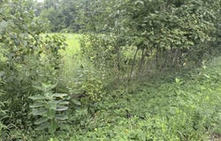 Parcel A Holt Highway, Dimondale, MI 48821