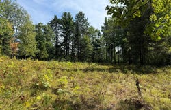 Stone Pine Drive lot: 38 & 39, Cable, WI 54821