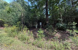 Wolf Pen Road lot: 24, Purlear, NC 28665