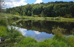 1332 Center Rd, South Plymouth, NY 13844