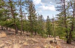 Upper Moss Rock Rd, Golden, CO 80401