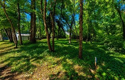 389 AVONDALE CIRCLE, SEVERNA PARK, MD 21146
