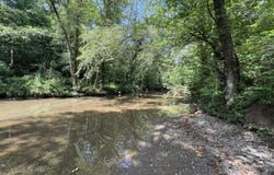 Brimstone Creek, Robbins, TN 37852