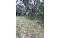 178 N Ringtail Rd, Camp Wood, TX 78833