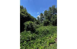 Easters Road, Boydton, VA 23917