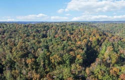 569 Stoneybrook Road, Burnside, KY 42519
