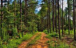 Jennings Road, Randleman, NC 27317