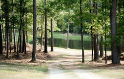 123 CR 430, PARIS, MS 38949