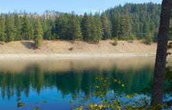 20 Hwy, Cusick, WA 99119