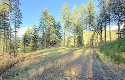 Alder Branch Rd, Springfield, OR 97478
