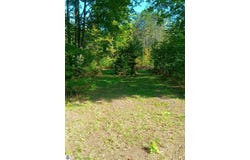 13544 Aylsworth Road, Beulah, MI 49617
