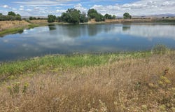 5451 Branch Rd, Wapato, WA 98951